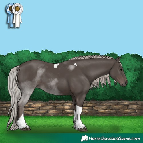Horse Color:Silver Black Tobiano