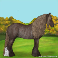 Horse Color:Liver Chestnut Rabicano 