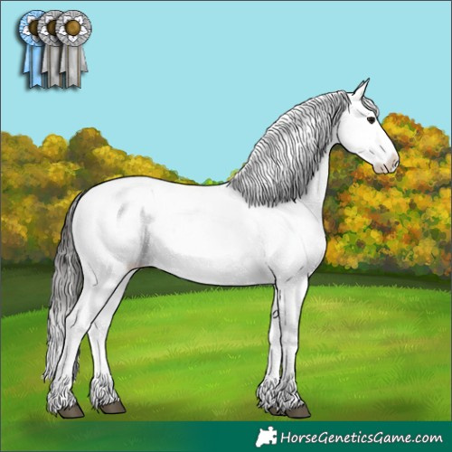 Horse Color:Buckskin Snowcap 