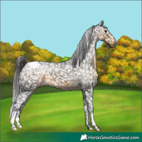 Horse Color:Buckskin Snowcap 