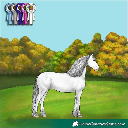 Horse Color:Buckskin Snowcap 