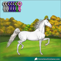 Horse Color:Perlino Dun Snowcap 