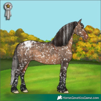 Horse Color:Bay Dun Snowflake Varnish