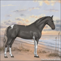 Horse Color:Silver Black Tobiano