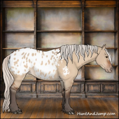 Horse Color:Silver Brown Dun Appaloosa