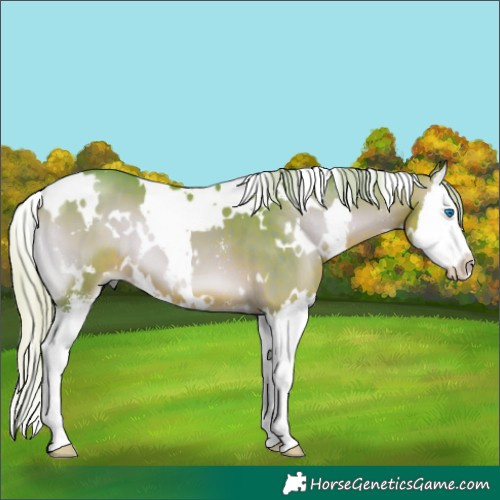 Horse Color:Watercolor White Spotted Silver Brown Onyx Sabino Splash 