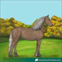 Horse Color:Silver Smoky Black 