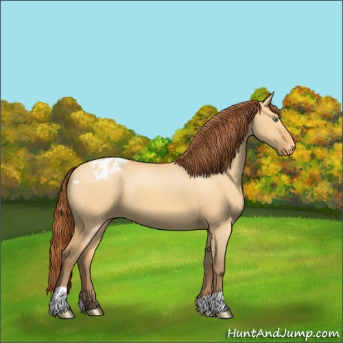 Horse Color:Sable Cream Champagne Dun Appaloosa