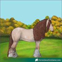 Horse Color:Chocolate Classic Champagne Dun Tobiano 