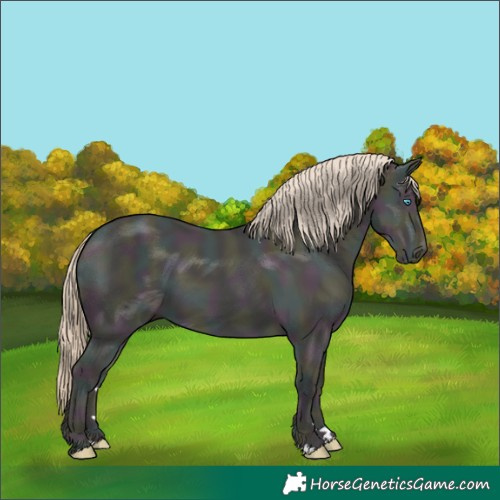 Horse Color:Midnight Smoky Creme Dun 