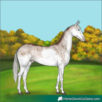 Horse Color:Liver Red Dun Mushroom Splash Rabicano Brindle 