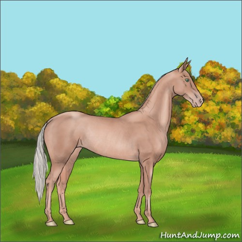 Horse Color:Gold Champagne Mushroom Rabicano