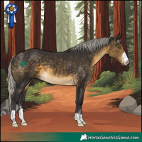 Horse Color:Silver Buckskin 