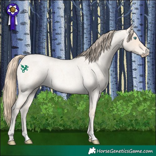 Horse Color:Perlino Roan 