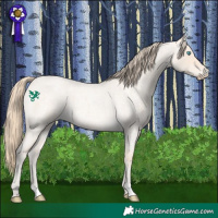 Horse Color:Perlino Roan 