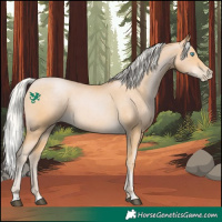 Horse Color:Silver Buckskin Pearl