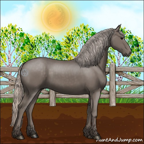 Horse Color:Silver Black Rabicano 