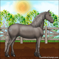 Horse Color:Silver Black Rabicano 