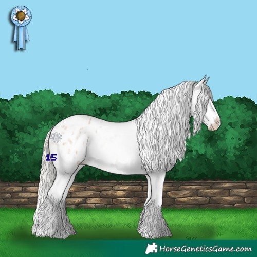 Horse Color:Silver Bay Roan Dun Splash Blanket Rabicano