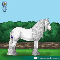 Horse Color:Silver Bay Roan Dun Splash Blanket Rabicano 