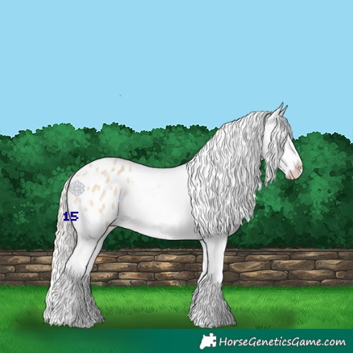 Horse Color:Silver Bay Roan Dun Snowflake Varnish Rabicano 