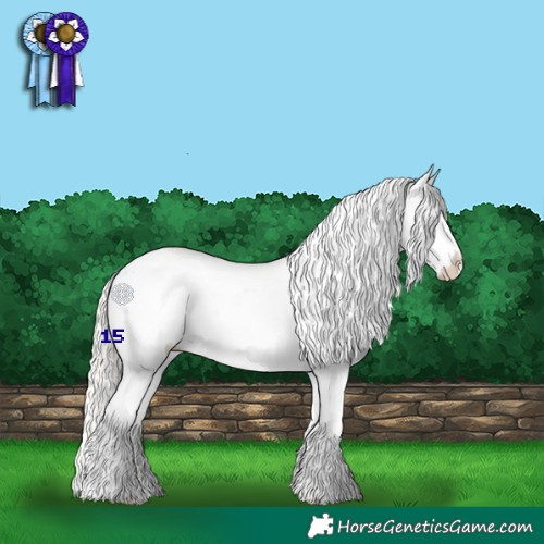 Horse Color:Silver Bay Roan Dun Blanket Rabicano 