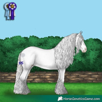 Horse Color:Silver Bay Roan Dun Blanket Rabicano 