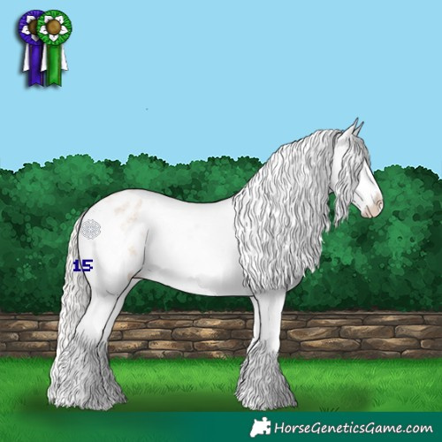 Horse Color:Silver Bay Roan Dun Snowflake Varnish Rabicano