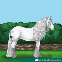 Horse Color:Silver Grullo Roan Snowflake Varnish Rabicano