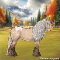Horse Color:Silver Bay Roan Dun Appaloosa Rabicano