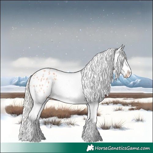Horse Color:Silver Bay Roan Dun Tobiano Blanket Rabicano 