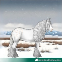 Horse Color:Silver Bay Roan Dun Tobiano Blanket Rabicano 