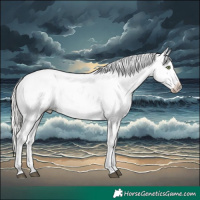 Horse Color:Silver Brown Roan Dun Sabino Snowflake Varnish Rabicano 