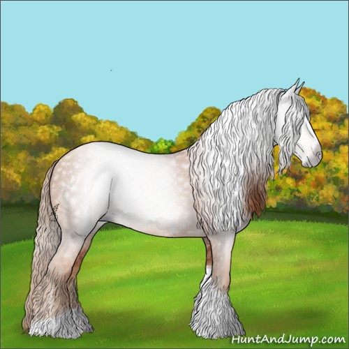 Horse Color:Gray Gold Champagne Tobiano