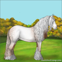 Horse Color:Gray Gold Champagne Tobiano