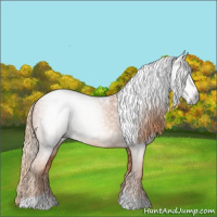 Horse Color:Gray Gold Champagne Tobiano