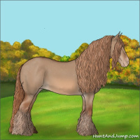 Horse Color:Red Dun Varnish 