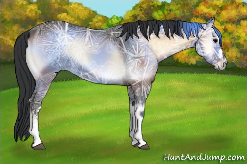 Horse Color:Bay Ice Onyx Rabicano 