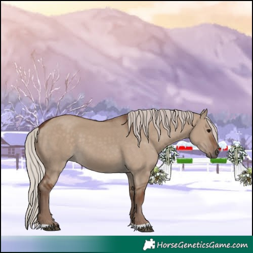 Horse Color:Silver Grullo 