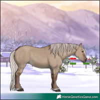 Horse Color:Silver Grullo