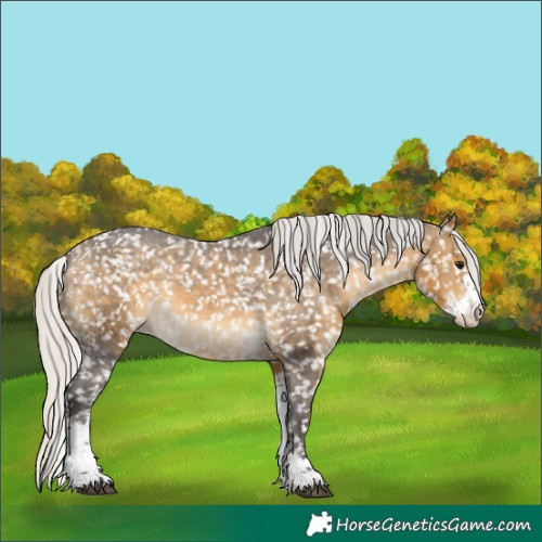 Horse Color:Silver Buckskin Sabino Snowflake Varnish