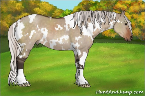 Horse Color:White Spotted Silver Brown Dun 