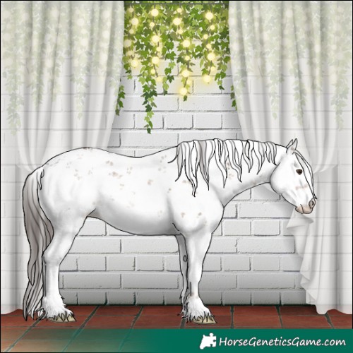 Horse Color:White Spotted Liver Red Dun Sabino 