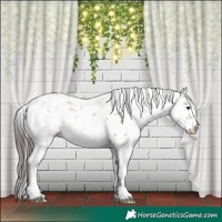 Horse Color:White Spotted Liver Red Dun Sabino 