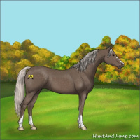 Horse Color:Silver Black 