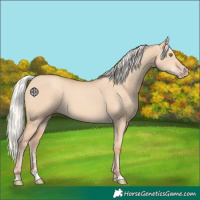 Horse Color:Silver Classic Champagne Dun 