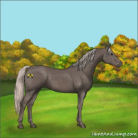 Horse Color:Silver Black 
