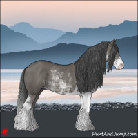 Horse Color:Grullo Sabino Rabicano 