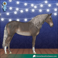 Horse Color:Silver Black 