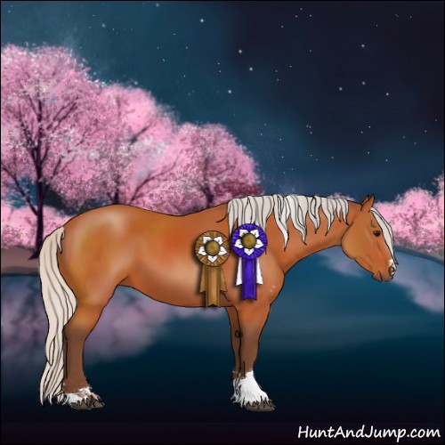 Horse Color:Silver Bay Sabino 